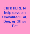 Every 4.5 seconds, a stray, unwanted or abandoned pet is put to death in a U.S. Animal Shelter