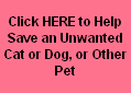 Every 4.5 Seconds, a stray, unwanted or abandoned pet is put to death in a U.S. Animal Shelter